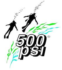 500psi-removebg-preview