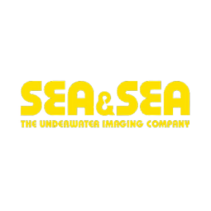 sea_sea-removebg-preview